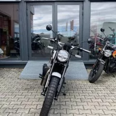 Galerie: Bear 650 Wild Honey (E5+)