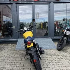 Galerie: Bear 650 Wild Honey (E5+)