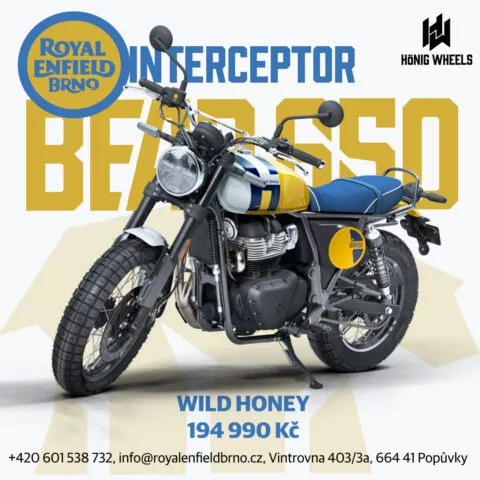 Bear 650 Wild Honey (E5+)