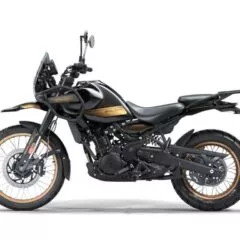 Galerie: Himalayan 450 Hanle Black tubeless (E5+)